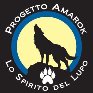 Francesco Desomaro Tecnico Amarok dog trekking I livello